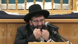 הרב אייל עמרמי - המדריך לצאת זכאי בדין