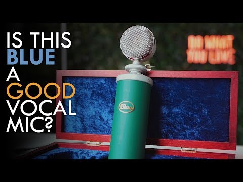 download lagu mp3 mp4 Blue Kiwi, download lagu Blue Kiwi gratis, unduh video klip Blue Kiwi