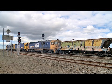 7736V Pacific National Grain Train Departing Gheringhap (14/9/2021) - PoathTV Australian Railways