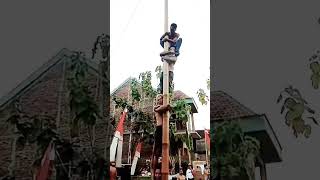 Download lagu PANJAT PINANG LUCU MELOROT mp3 Download lagu PANJAT PINANG LUCU MELOROT mp3