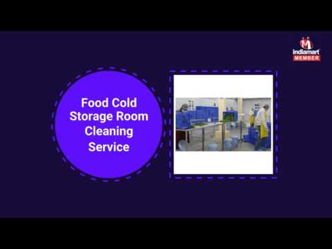 Video Section Image
