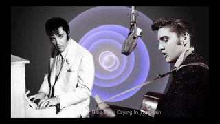 Blue Eyes Crying In The Rain   Elvis Presley