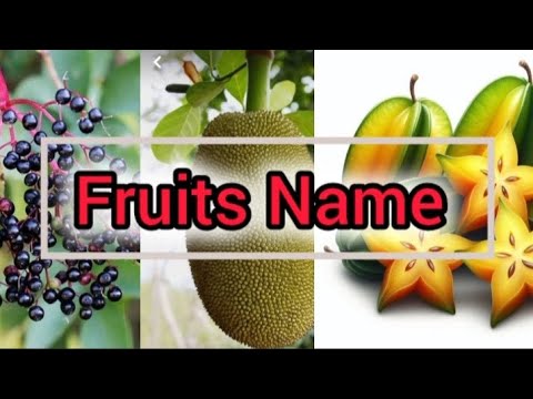 Fruits Names / All fruits name in English #fruitsnameforkids #fruits @EnglishbyPalvi