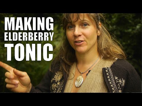 download lagu mp3 mp4 Elderberry Crisp Recipe, download lagu Elderberry Crisp Recipe gratis, unduh video klip Elderberry Crisp Recipe