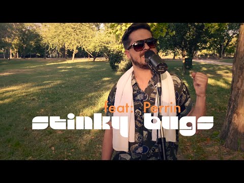 Bukott diák | Zámbó Jimmy | funk verzió | ft. Perrin & Boros Levi