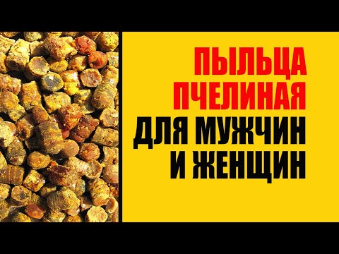 Пчелиная Пыльца Как Отличить Подделку