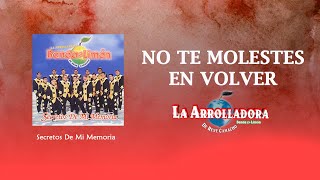 No Te Molestes En Volver Lyrics English Translation