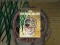 The Divided Brain