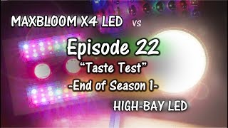 MaxBloom vs High Bay LED Grow Light Ep.22 (Final Episode of S1)