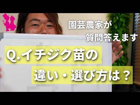 園芸 イチジクの木に関するよくある質問