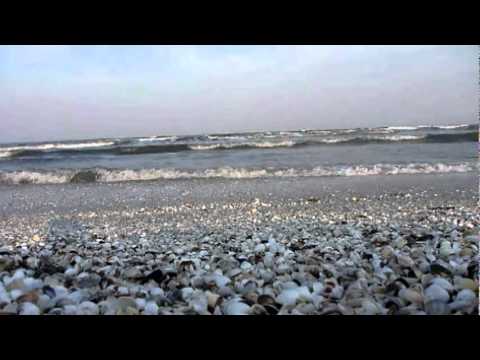 Armando Sciascia - Black Sand