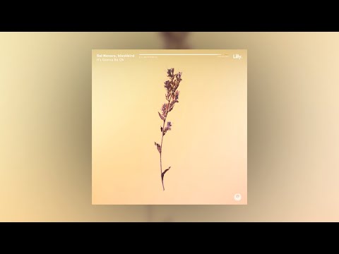 Sol Novaro & blackbird - It's Gonna Be Ok