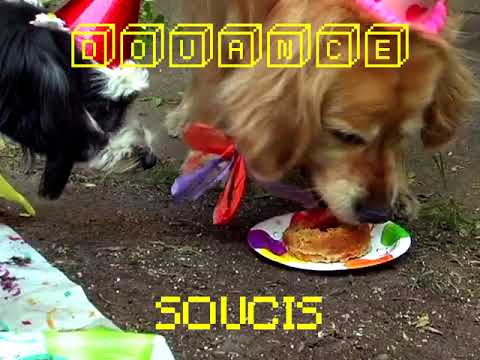 Soucis - Douance