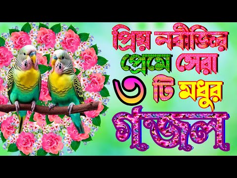 প্রিয় নবীজির প্রেমে মন কাড়া সেরা তিনটি গজল | Three Selected Best Gojol | Islamic Bangla Gojol