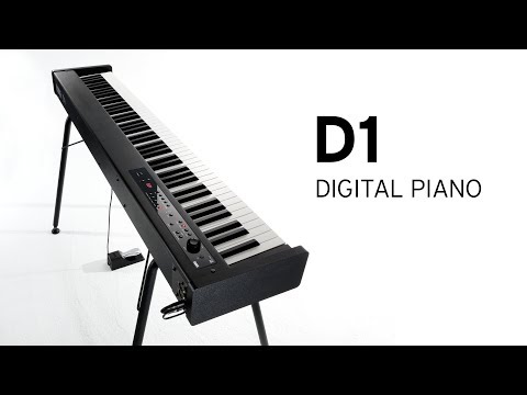 Korg D1 88-Key Digital Piano with Adjustable Stand, Bench, Cables (2-Pack) and Keyboard Stickers