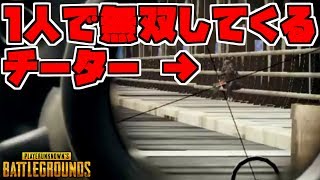 １人で無双してくるチーターを倒してドン勝　【ありさか視点】