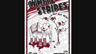 The White Stripes Vancouver 14of27 Instinct blues