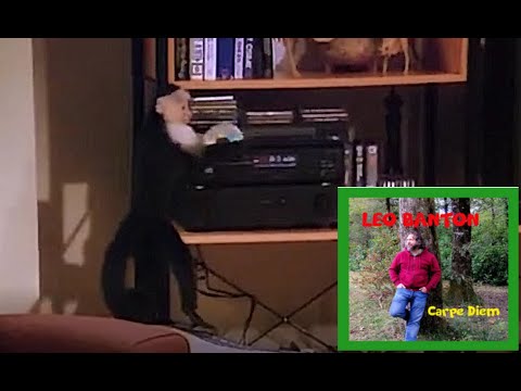 Friends - Marcel plays Leo Banton - Carpe Diem