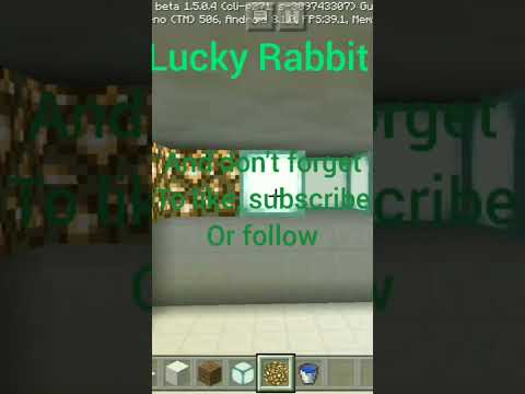 Lucky Rabbit vs. Boyomggamer6928 - Epic Minecraft House Build-off!