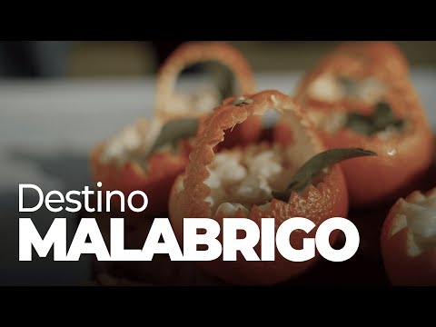 Con Sabor a Santa Fe - Malabrigo