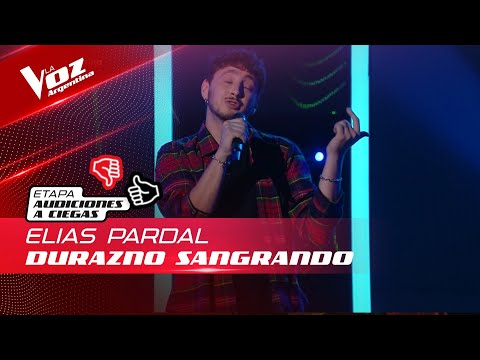 Elías Pardal - "Durazno sangrando" - Audiciones a Ciegas - La Voz Argentina 2022