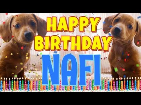 Happy Birthday Nafi! ( Funny Talking Dogs ) What Is Free On My Birthday