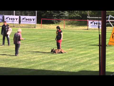 M ČR IPO 2014 Cassie Meggan Bohemia - defence (97)