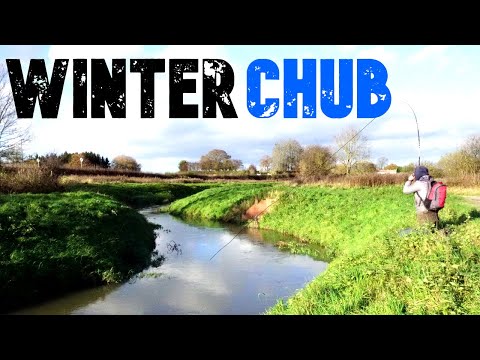 CATCH MORE CHUB FROM SMALL RIVERS
