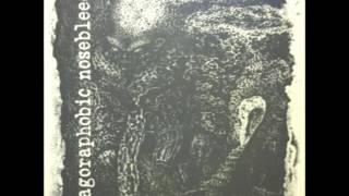 Agoraphobic Nosebleed - Bestial Machinery (ANb Discography Vol. 1)