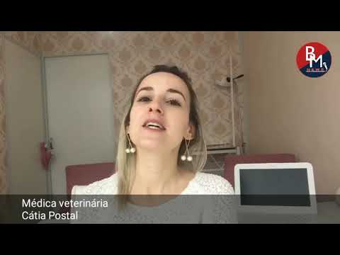 Dicas pet: como controlar as alergias nos animaizinhos de estimação