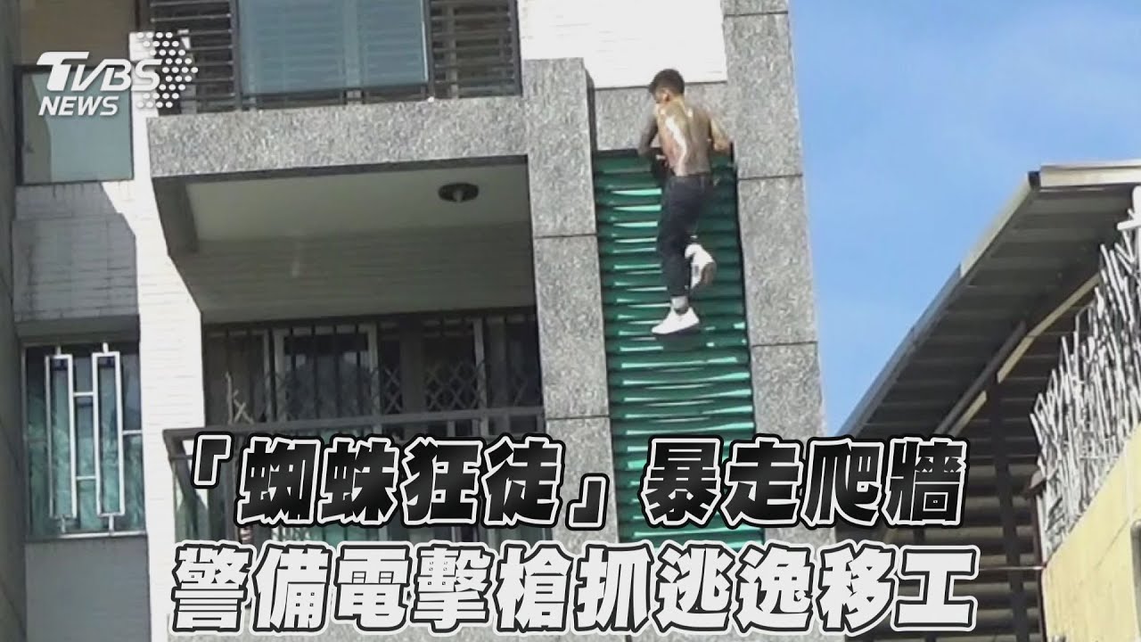 影音／「蜘蛛狂徒」暴走爬牆　警備電擊槍抓逃逸移工