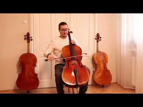 Goffriller Cello 4/4 from One Piece Back - Hand-Made in Romania 2025 #78 image 18