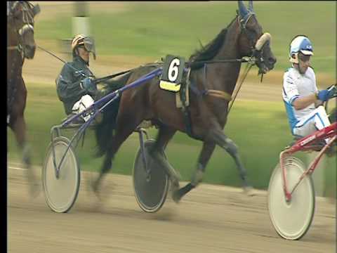 Trotto 17/06/2017 - 8ª corsa