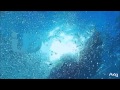 ITV Dive Bomb Ident 2013