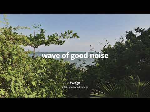 Racoon Racoon - Dawn Chorus