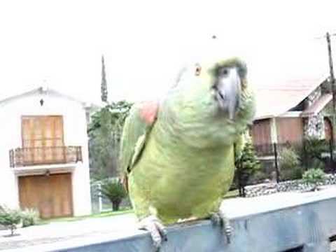 NathyyPrado’s Video 5537616265 f5mJ-qQuFwU