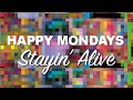 Stayin' Alive by Happy Mondays [2016]