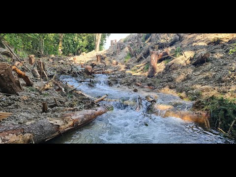 Wiederherstellung der Fischgängigkeit an einem künstlichen Absturz im Schleitheimer Bach (SH)