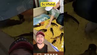 Download lagu Bangun tidur ku lihat Ikan dikasur!!!? #vfxhd #comedy #funny mp3