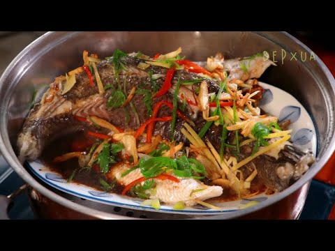 Cách làm Cá Chẽm Hấp Xì Dầu Ngon Như Cá Hấp Hồng Kông