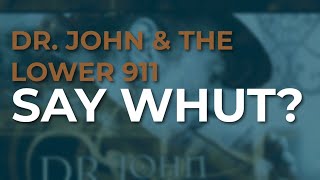Dr. John &amp; The Lower 911 - Say Whut? (Official Audio)