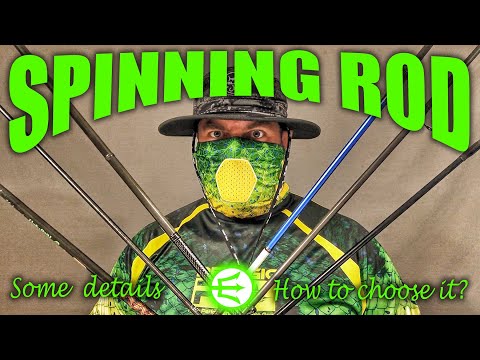 HOW to CHOOSE a spinning ROD for Bluefish and Sea bass?