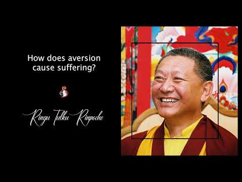 25. How does aversion cause suffering? | Answers for Students of Buddhism | Ringu Tulku Rinpoche