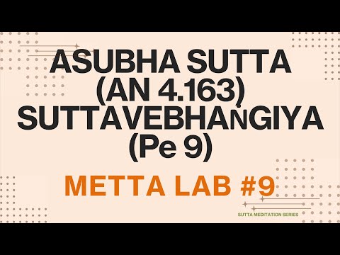 #09 Metta Lab @SuttaMeditationSeries — Painful practice with slow realisation