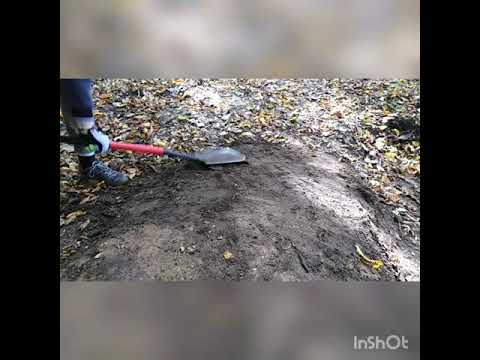 Jakieś gówno publikuje debil