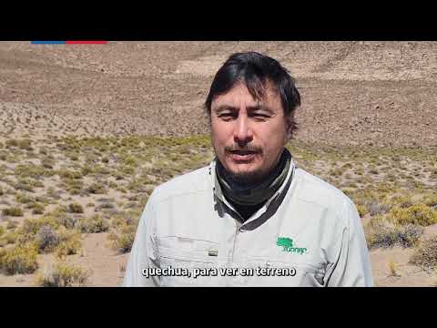 Trabajo de evaluación ambiental en Ollagüe