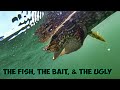 The Fish, The Bait, And The Ugly - ZZZ 3RD EYE ZZZ The Fish, The Bait, And The Ugly