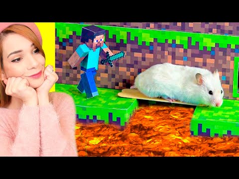 CRICETO VS LABIRINTO DI MINECRAFT! *ESTREMO*