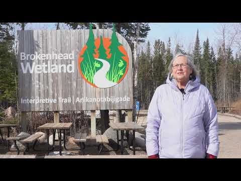 Brokenhead Wetland Interpretive Trail