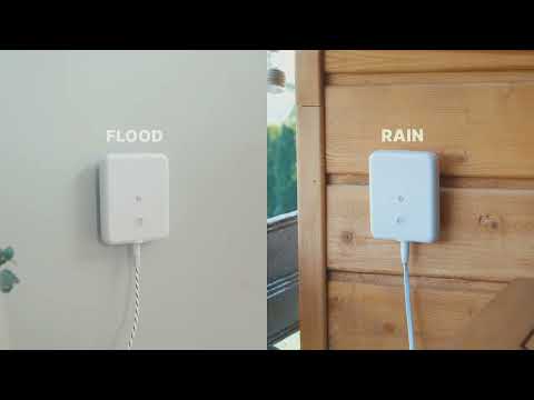 Shelly Flood Gen4 - NEW in!